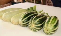 晋江网红吃瓜,揭秘娱乐圈背后的秘密