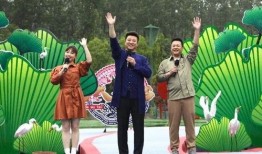 临邑最新事件大爆料视频,视频爆料揭示惊人真相